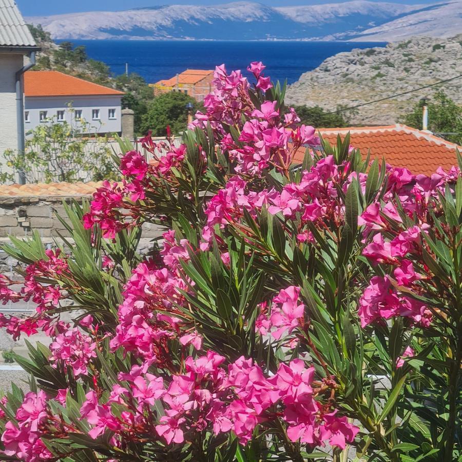 Apartment Danica Sveti Juraj Dış mekan fotoğraf