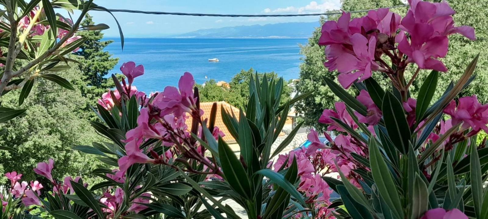 Apartment Danica Sveti Juraj Dış mekan fotoğraf