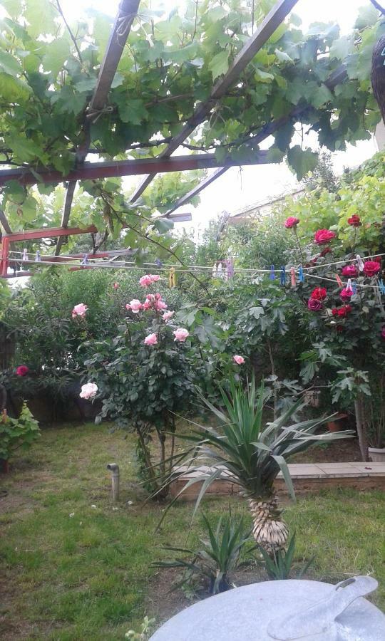 Apartment Danica Sveti Juraj Dış mekan fotoğraf
